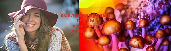 метадон Арсеньев