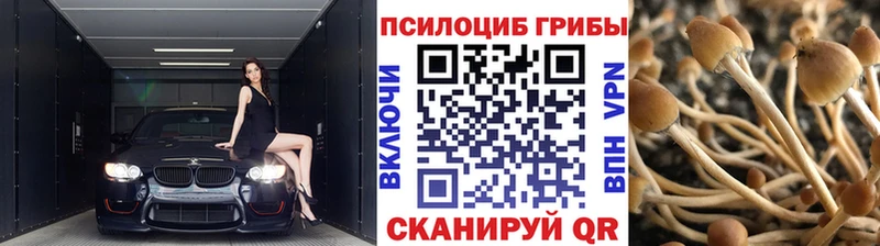 Галлюциногенные грибы MAGIC MUSHROOMS Краснотурьинск